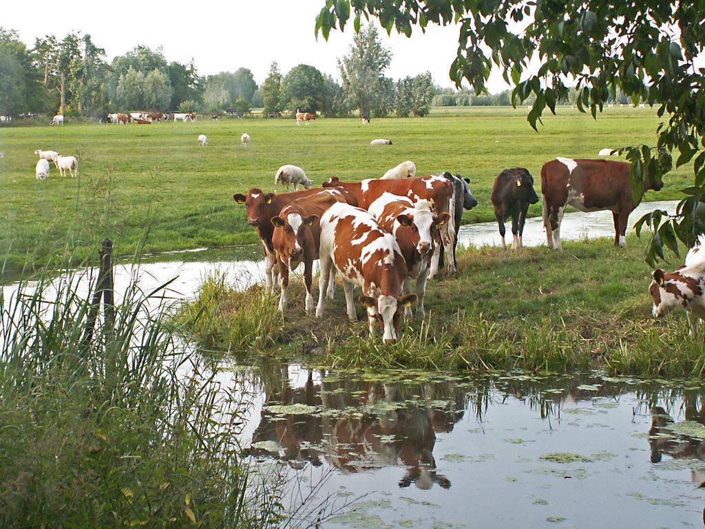 Posthoorn Lodge Woerden Zimmer foto